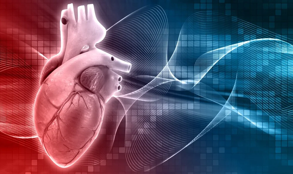 What is Cardiology?